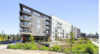 17_The Current exterior